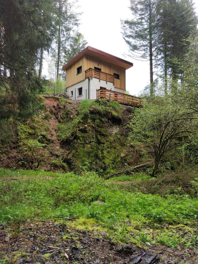 Le Refuge Perche Du Saut De La Bourrique Spa, Terrain Cloture Gerardmer Villa Buitenkant foto