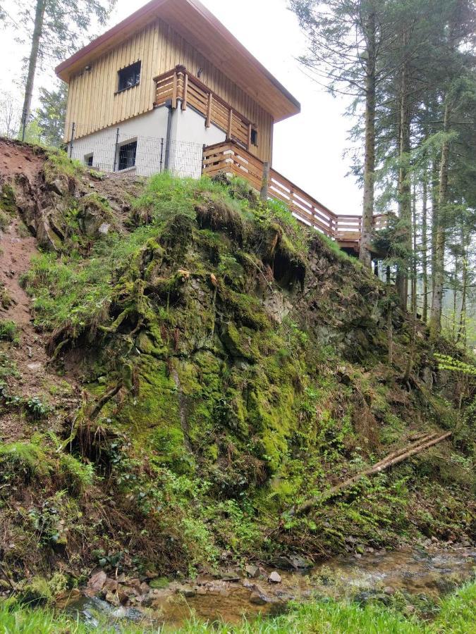 Le Refuge Perche Du Saut De La Bourrique Spa, Terrain Cloture Gerardmer Villa Buitenkant foto