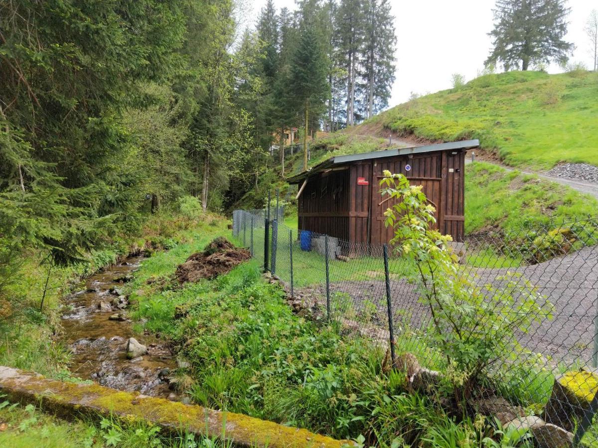 Le Refuge Perche Du Saut De La Bourrique Spa, Terrain Cloture Gérardmer Buitenkant foto