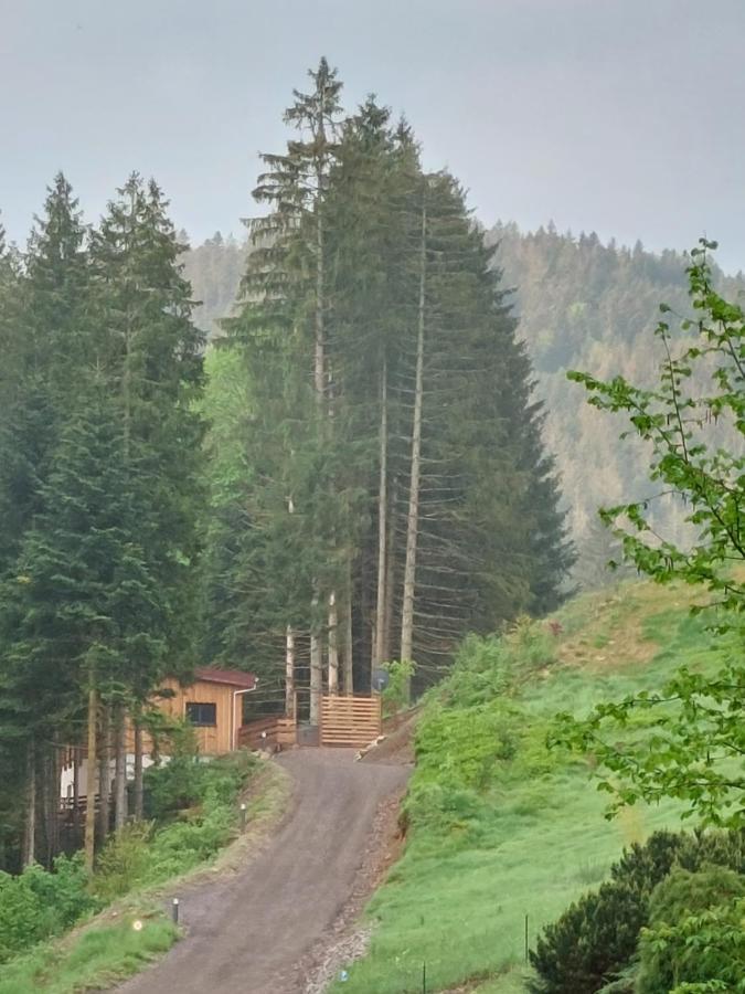 Le Refuge Perche Du Saut De La Bourrique Spa, Terrain Cloture Gérardmer Buitenkant foto