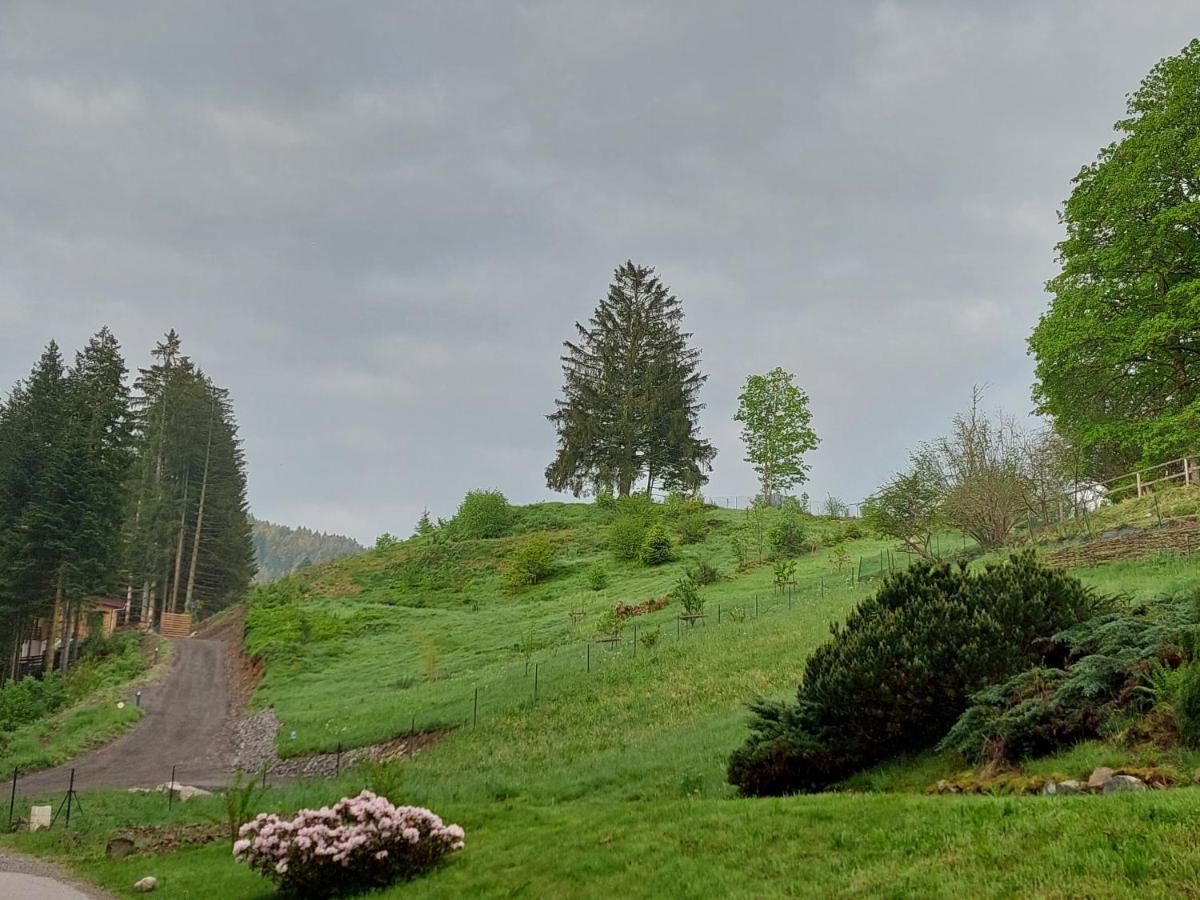 Le Refuge Perche Du Saut De La Bourrique Spa, Terrain Cloture Gérardmer Buitenkant foto