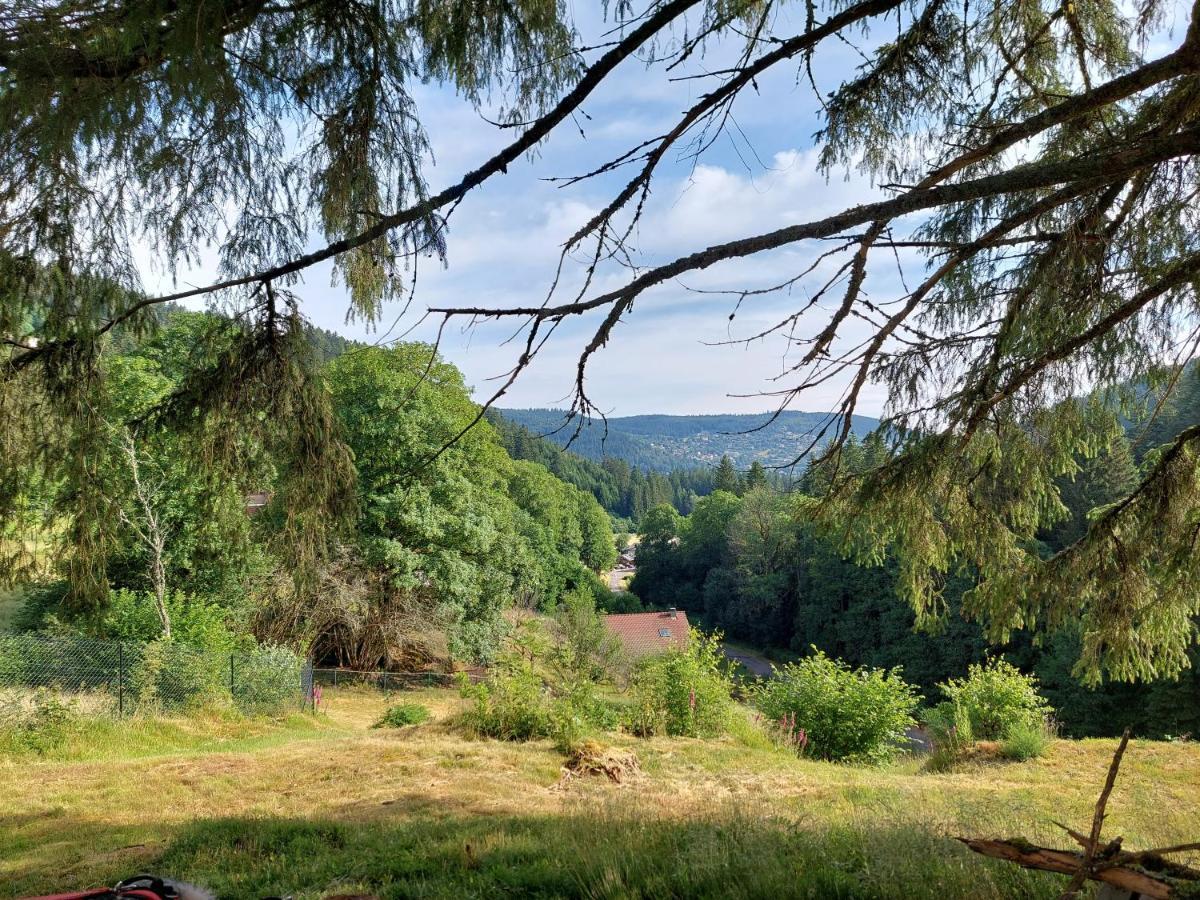 Le Refuge Perche Du Saut De La Bourrique Spa, Terrain Cloture Gerardmer Villa Buitenkant foto