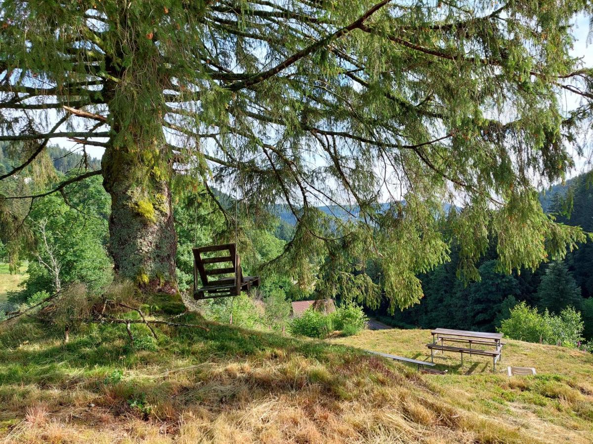 Le Refuge Perche Du Saut De La Bourrique Spa, Terrain Cloture Gerardmer Villa Buitenkant foto