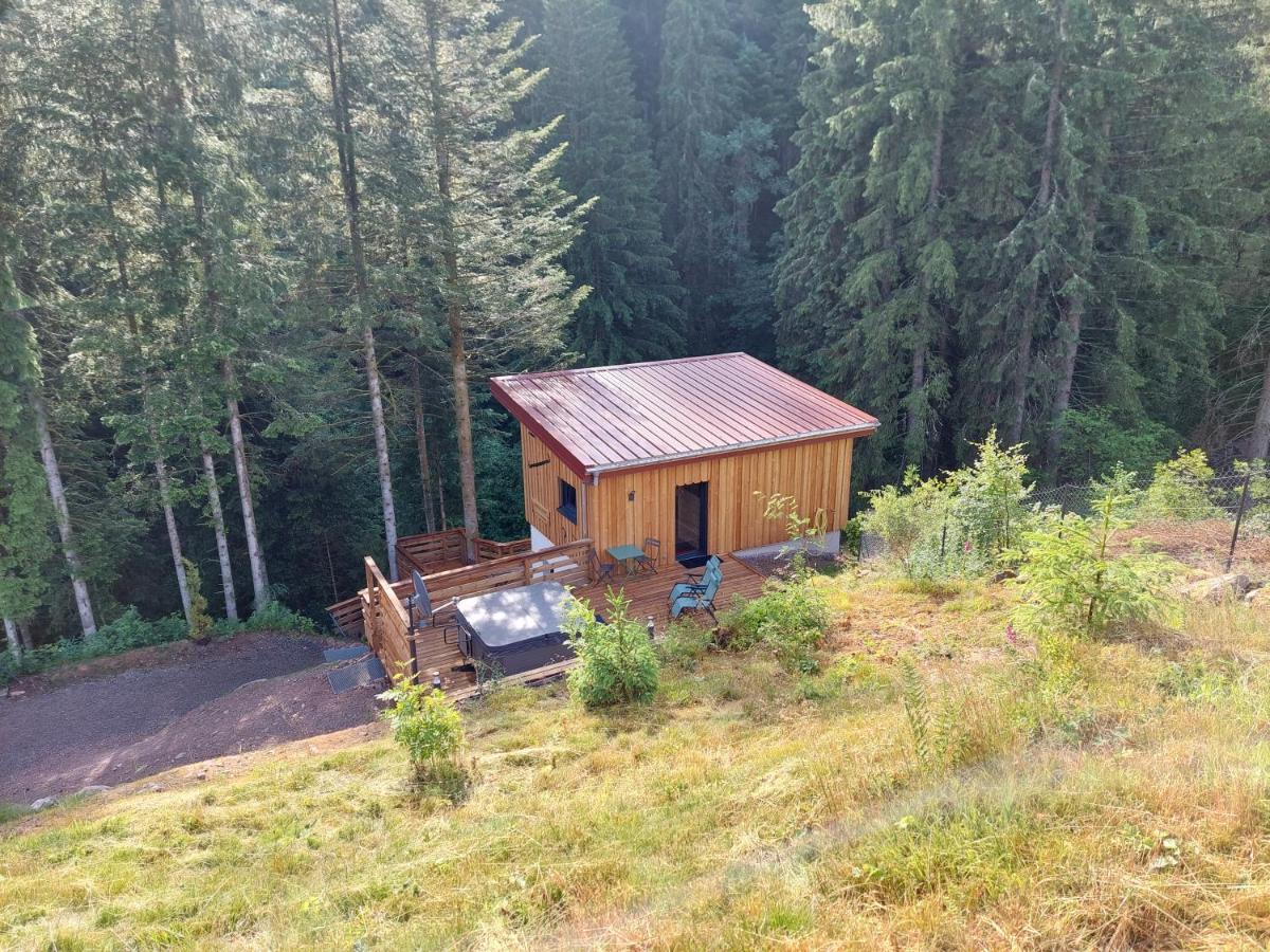 Le Refuge Perche Du Saut De La Bourrique Spa, Terrain Cloture Gerardmer Villa Buitenkant foto