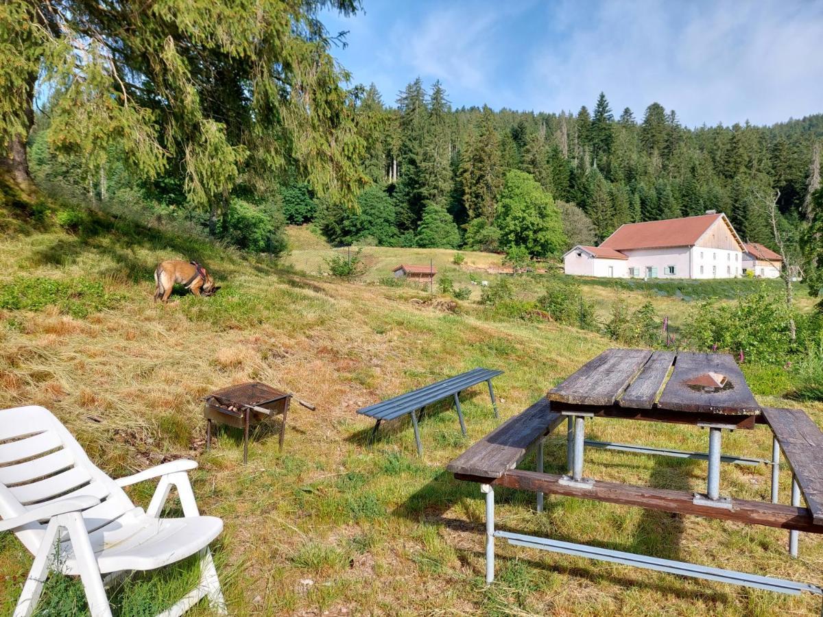 Le Refuge Perche Du Saut De La Bourrique Spa, Terrain Cloture Gerardmer Villa Buitenkant foto